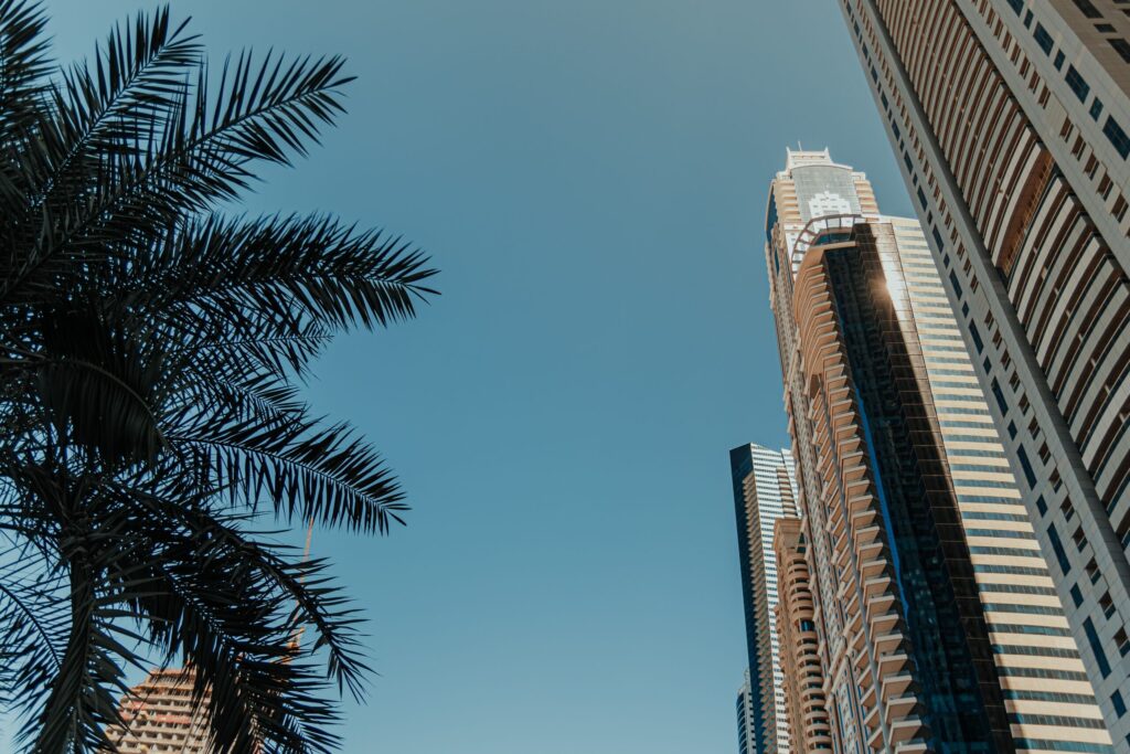 Modern glass skyscrapers with a palm tree in the foreground against a clear blue sky in Dubai