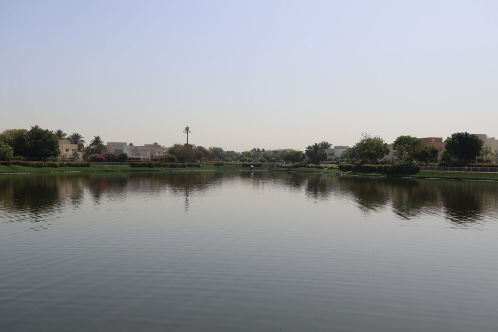 Villa rooftops and palm trees reflected in a calm lake in a green Dubai residential community, representing Al Barari