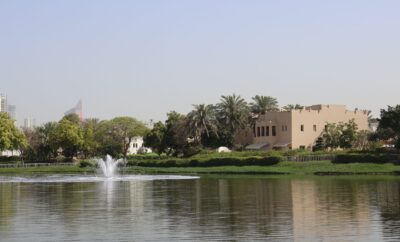 Springs 10