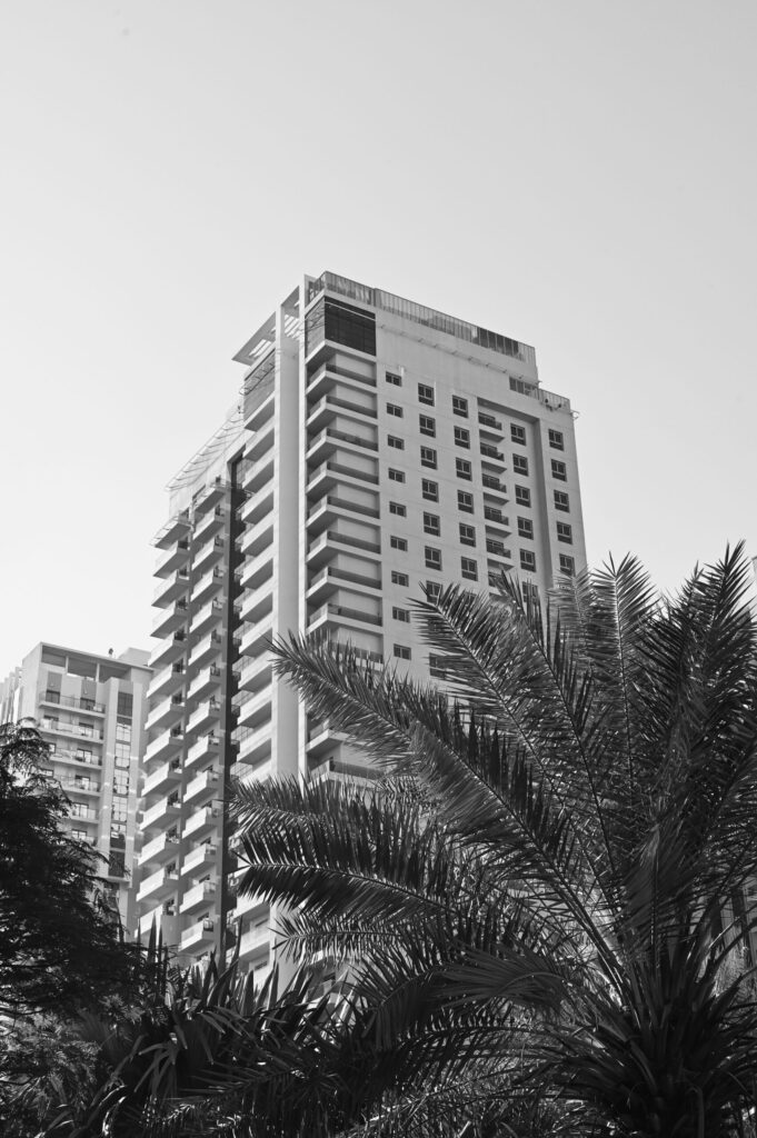 Black and white photograph of a modern high-rise apartment tower in Dubai with a palm tree in the foreground