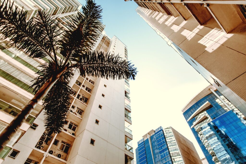 Upward view of modern Dubai residential towers with a palm tree, near The Medalist, Dubai Sports City