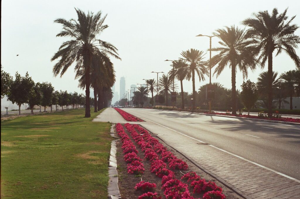 Palm-lined boulevard with landscaped flower beds and a distant tower silhouette, representative of a leafy Dubai residential neighbourhood near The Springs, Emirates Living