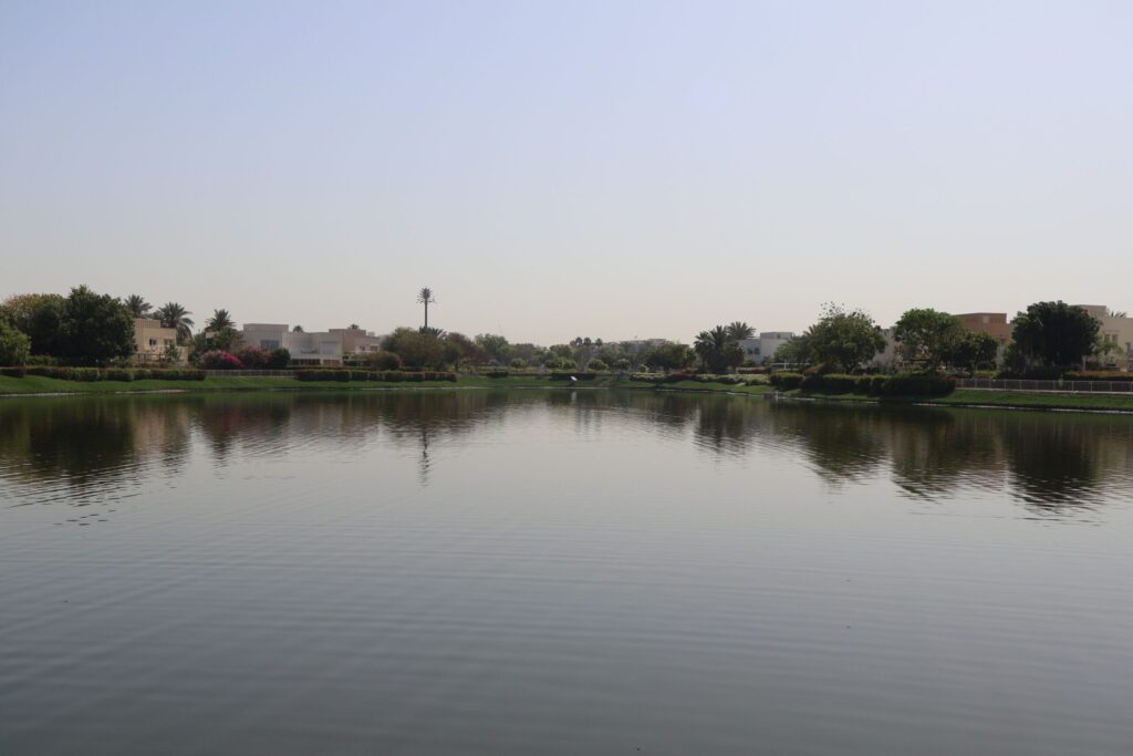 Peaceful lake in an Emirates Living villa community with low-rise cream rooftops and palm trees in the background, representative of The Springs, Dubai