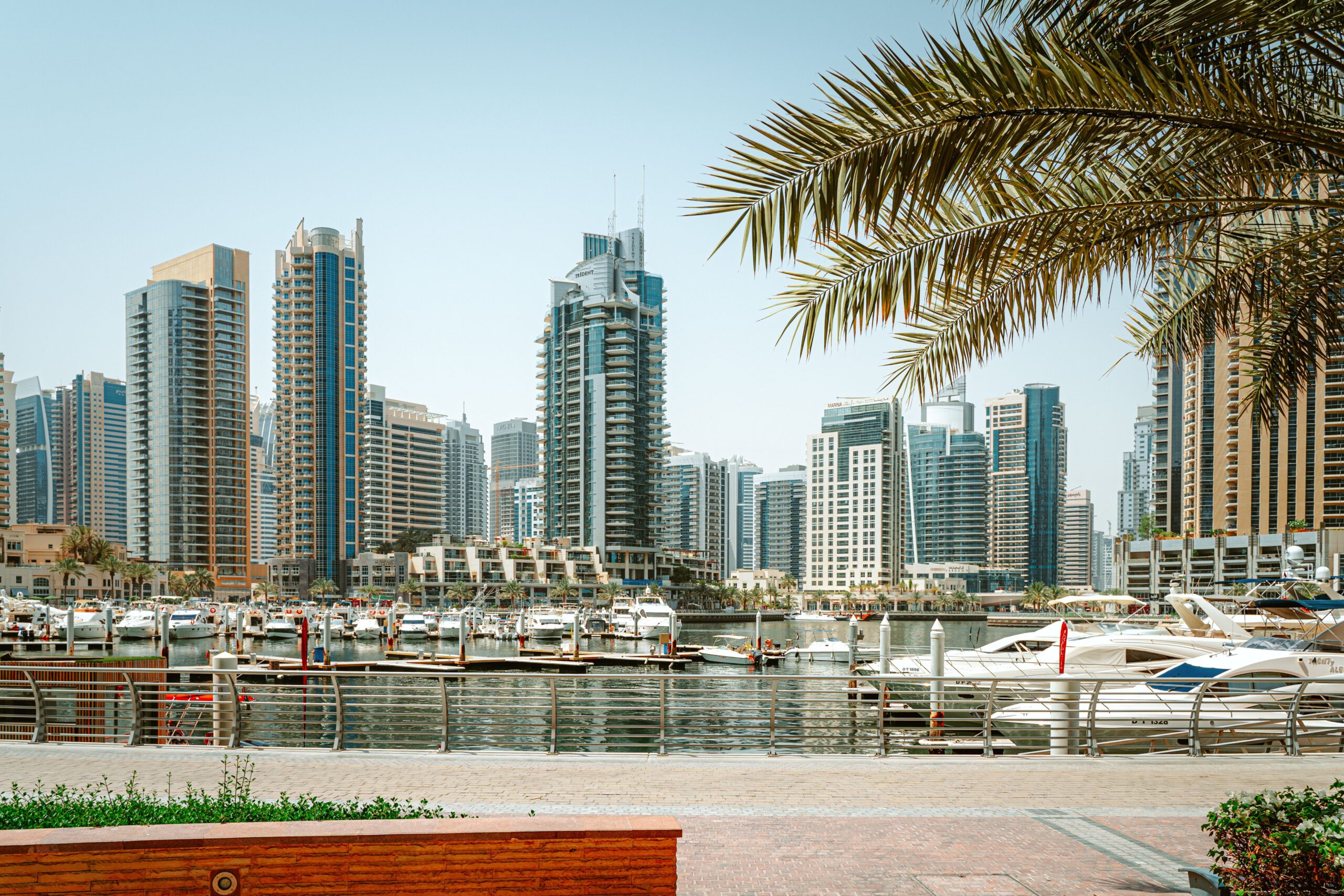 Dubai Marina waterfront skyline with moored yachts and a palm frond in the foreground, near Marina Star