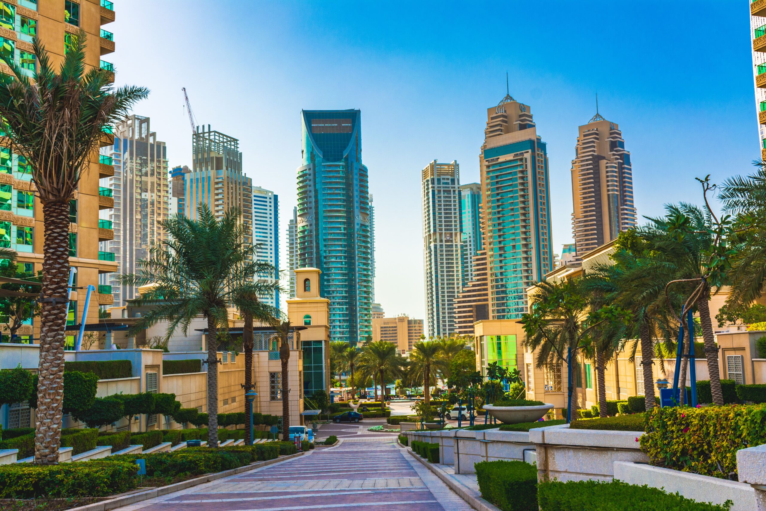 Palm tree lined pedestrian walkway leading to modern high-rise apartment towers under a blue sky in Dubai