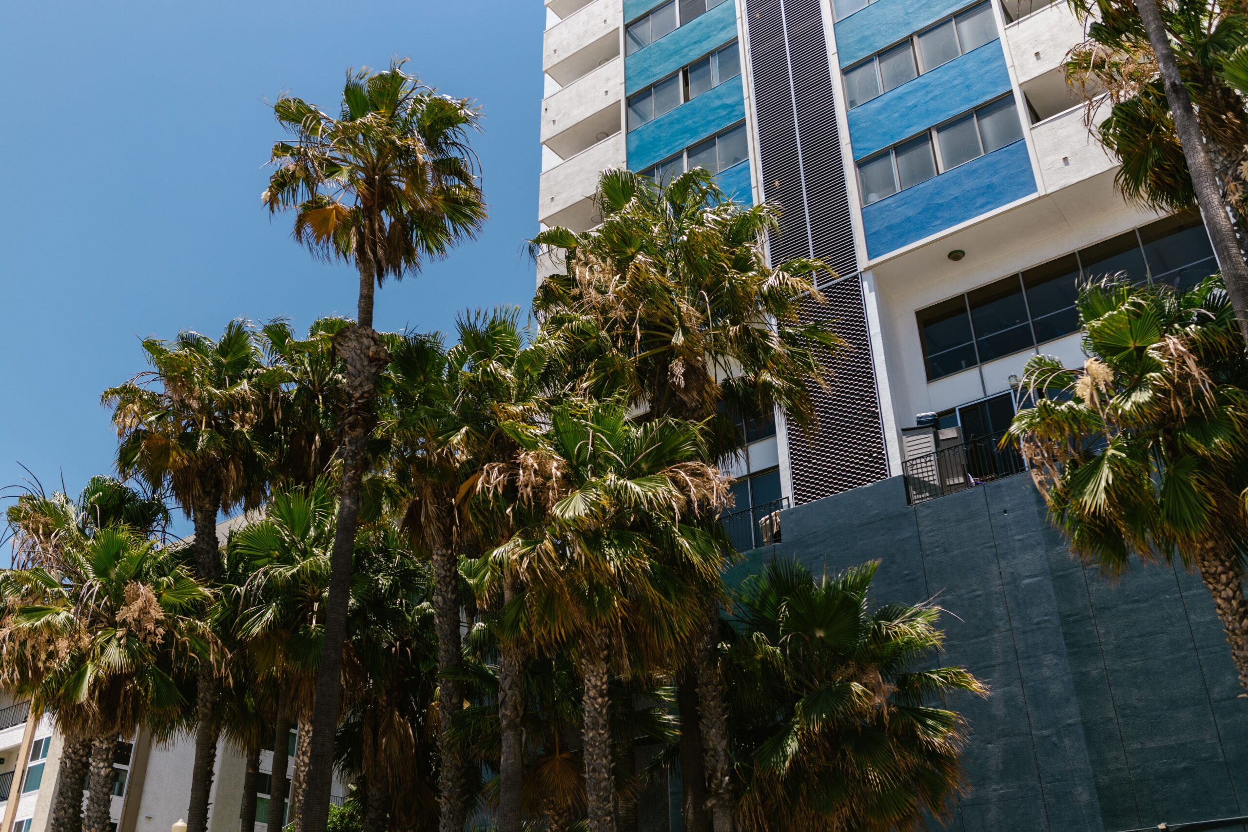 Modern residential tower with blue-accented glass panels seen through palm trees against a clear blue sky in Dubai